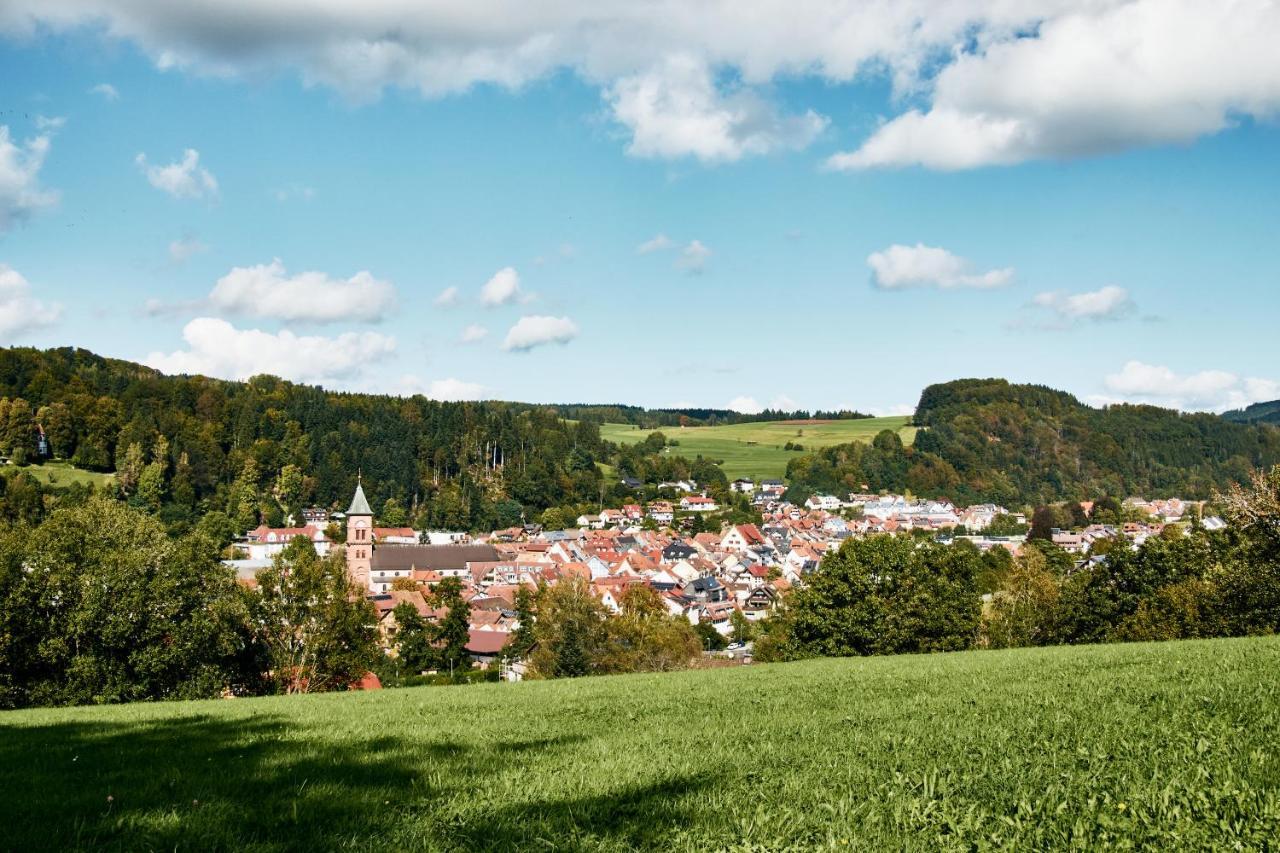 Naturferienwohnung Weitsicht Elzach Buitenkant foto